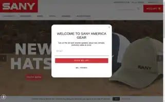Sanyamericastore.com Screenshot 2024-07-07 16:37:54