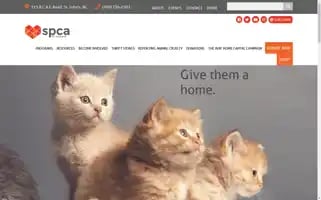 Spcastjohns.org Screenshot 2024-07-01 23:54:11