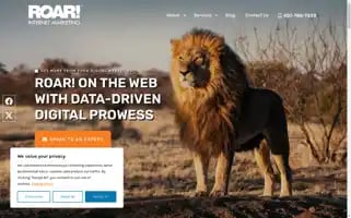 Roarwebdesign.com Screenshot 2024-07-05 14:06:14