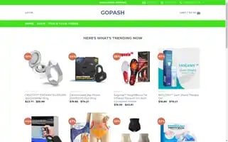 Gopash.com Screenshot 2024-05-24 20:07:16