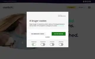 Vmse.dk Screenshot 2024-06-16 13:45:54