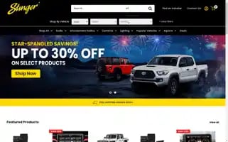 Stingersolutions.com Screenshot 2024-06-29 15:23:16