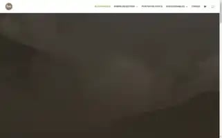 Amarlonuestro.com Screenshot 2024-06-18 21:08:41