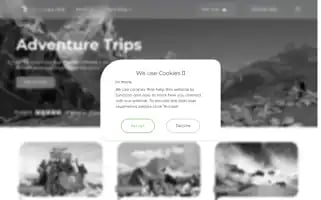 Followalice.com Screenshot 2024-06-17 05:54:57