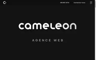 Cameleonmedia.com Screenshot 2024-07-05 19:57:55
