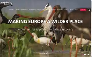 Rewildingeurope.com Screenshot 2024-07-02 01:38:42