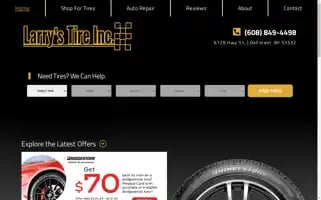 Larrystireinc.com Screenshot 2024-05-16 05:11:23