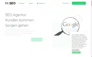 Mr-seo.ch Screenshot 2024-06-18 11:29:15