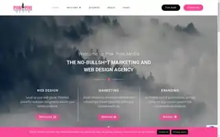 Pinkpinemedia.com Screenshot 2024-06-17 22:45:18