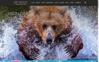 Artwolfe.com Screenshot 2024-05-08 14:30:21