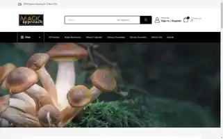 Magicapproach.com Screenshot 2024-05-23 16:43:18