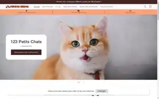 123petitschats.com Screenshot 2024-05-03 20:58:08