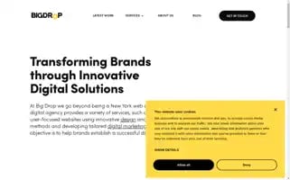 Bigdropinc.com Screenshot 2024-06-15 00:22:26