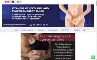 Gyneacologyclinicistanbul.com Screenshot 2024-05-19 11:56:41