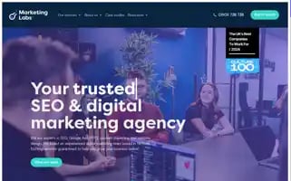 Marketinglabs.co.uk Screenshot 2024-07-03 01:12:48