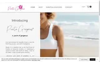 Thepuntagorgeousstore.com Screenshot 2024-07-02 04:06:02