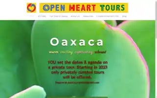 Openhearttours.com Screenshot 2024-04-18 19:46:50