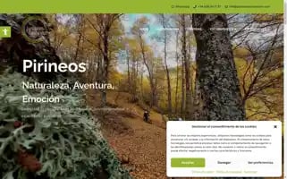 Pyreneesconnexion.com Screenshot 2024-07-03 08:43:49