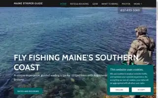 Mainestriperguide.com Screenshot 2024-04-17 03:38:47