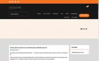 Promomek.com Screenshot 2024-05-25 03:47:15