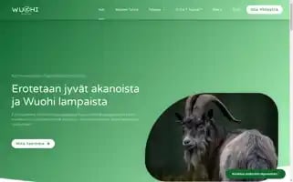Wuohi.fi Screenshot 2024-06-18 19:41:17