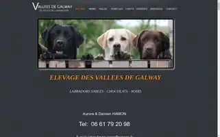 Labrador-touraine.com Screenshot 2024-04-18 09:52:24