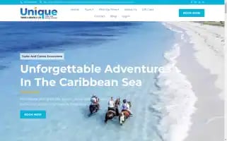 Uniquetoursandrentals.com Screenshot 2024-04-17 16:39:45