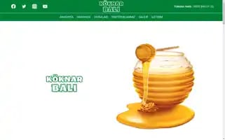 Koknarbali.com Screenshot 2024-06-26 23:25:59