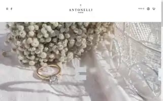 Antonelli.com.hk Screenshot 2024-05-03 12:21:47