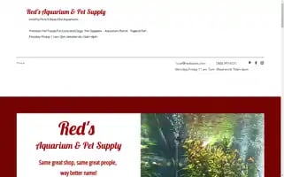 Redspets.com Screenshot 2024-04-17 08:16:42