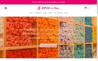 Bipocinfiber.com Screenshot 2024-06-30 14:15:55