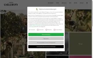 Gsellmann.at Screenshot 2024-06-11 20:28:19