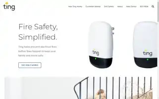 Tingfire.com Screenshot 2024-07-05 18:58:26
