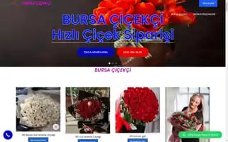 Bursaeroscicek.com Screenshot 2024-05-25 07:30:23