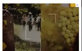 Bootsandgrapestours.com Screenshot 2024-04-23 16:08:11