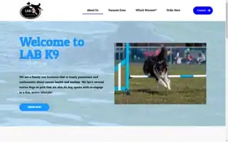 Labk9.co.uk Screenshot 2024-06-17 04:25:06