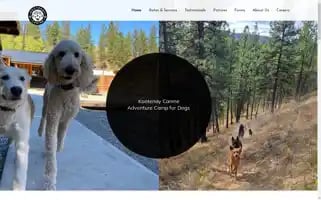 Kootenaycanine.ca Screenshot 2024-07-09 00:17:27