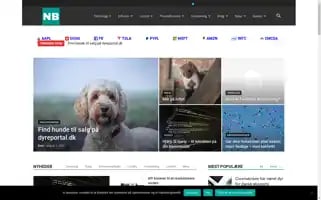 Nyhedsbladet.dk Screenshot 2024-07-09 05:46:50