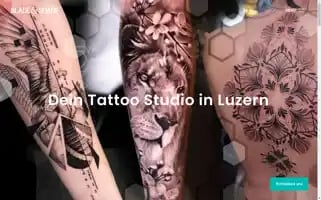 Bladeandshade.ch Screenshot 2024-05-27 13:28:19