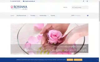Rossanalabs.sk Screenshot 2024-05-19 22:14:48