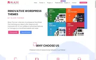 Blazethemes.com Screenshot 2024-06-13 04:44:54