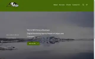 Seoninja.ca Screenshot 2024-07-02 07:21:04