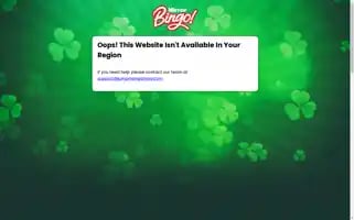 Mirrorbingo.com Screenshot 2024-05-12 23:14:34