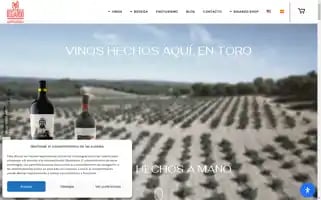 Bigardo.es Screenshot 2024-06-18 12:07:50