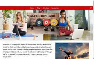 Bloggersane.com Screenshot 2024-05-25 19:28:15
