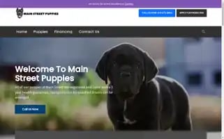 Mainstreet-puppies.com Screenshot 2024-05-21 12:51:38
