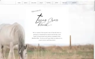 Leaningcrossranch.com Screenshot 2024-07-01 16:19:57