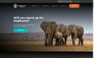 Hsi.org.au Screenshot 2024-07-01 22:49:33