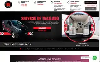 Vets.cl Screenshot 2024-06-16 13:45:46