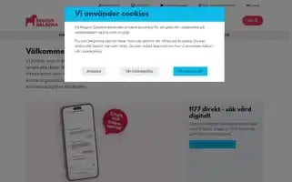 Regiondalarna.se Screenshot 2024-07-09 04:04:43